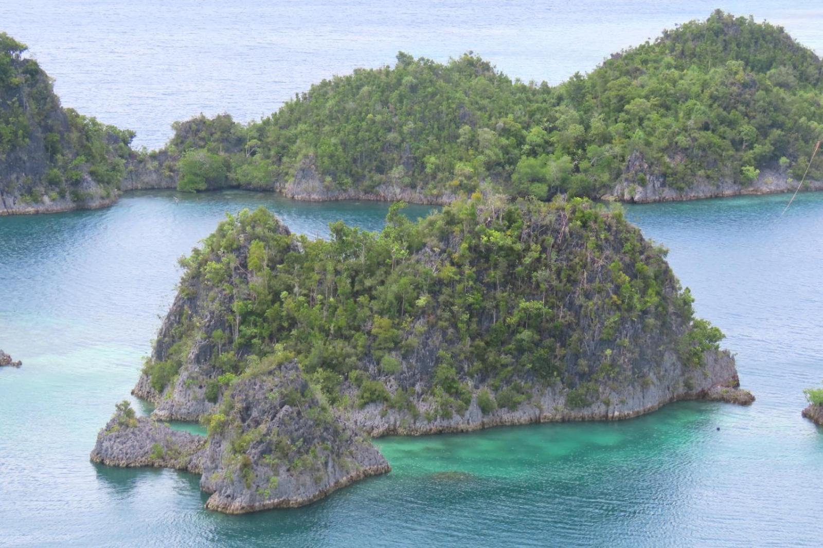 Nyanse Homestay - Raja Ampat Besir Exteriér fotografie