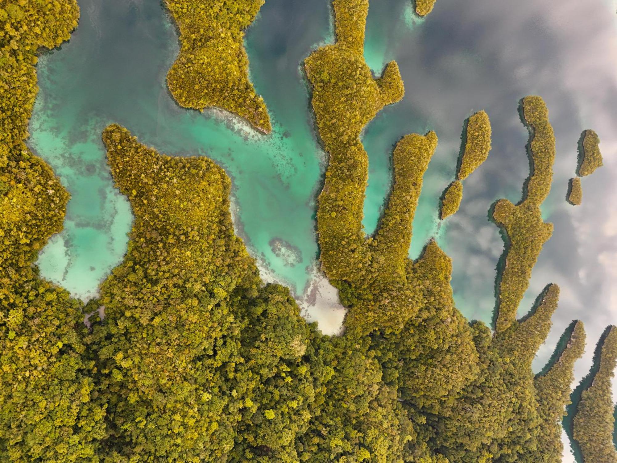 Nyanse Homestay - Raja Ampat Besir Exteriér fotografie